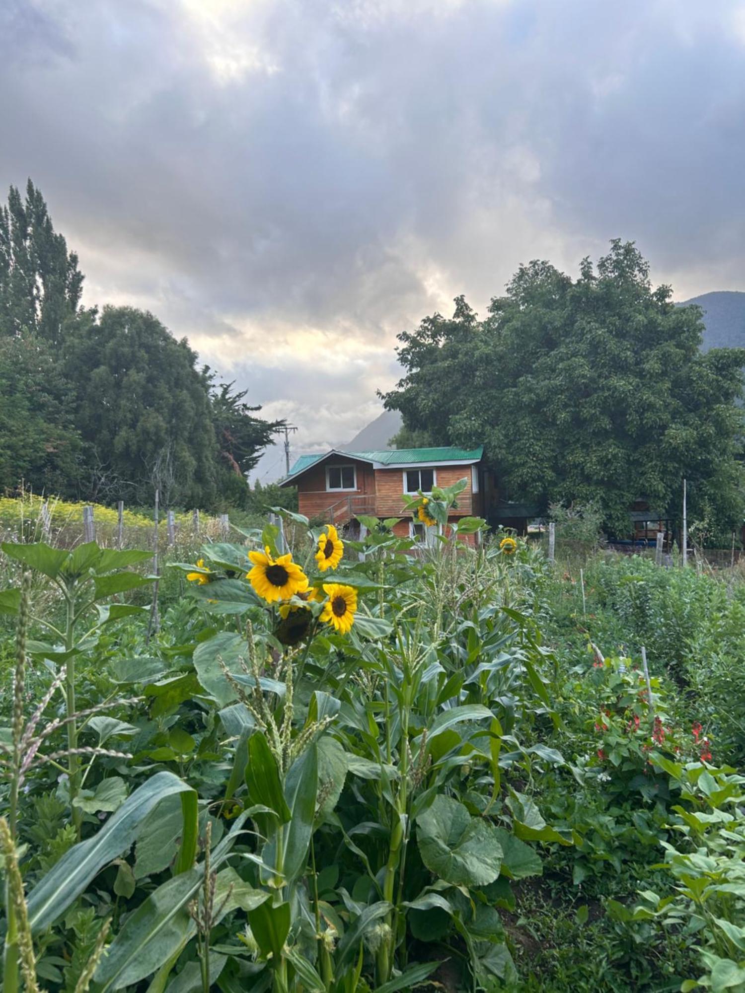 Turismo Rural Los Alpes Futaleufú Kültér fotó